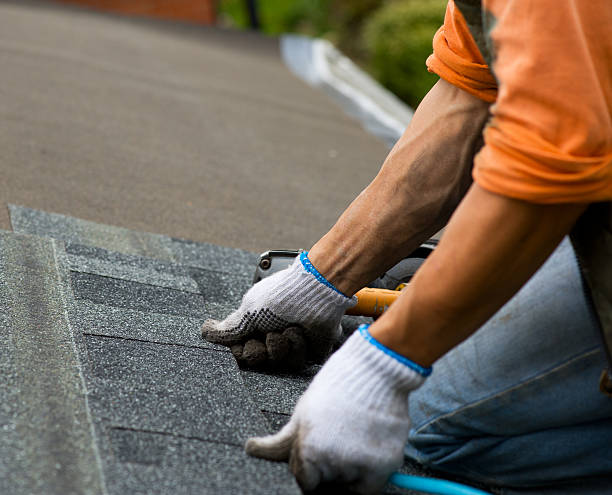 Roof Gutter Cleaning in Bolingbrook, IL